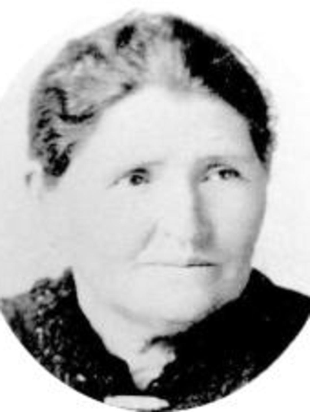 Sarah Melissa Holman (1838 - 1901) Profile